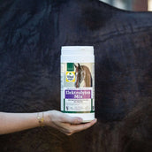 Vitalstyle Elektrolyten Mix Caballo Vitalstyle Elektrolyten Mix Caballo