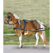 Waldhausen Arnés Nylon Negro Waldhausen Arnés Nylon Negro