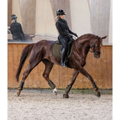 Waldhausen Mantilla Philadelphia Doma clásica Verde/Marron Waldhausen Mantilla Philadelphia Doma clásica Verde/Marron