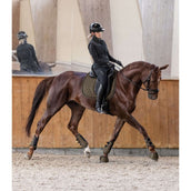 Waldhausen Protectores de piernas Comfort Fit Verde/Marron Waldhausen Protectores de piernas Comfort Fit Verde/Marron