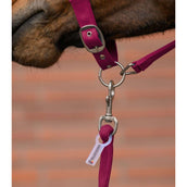 Waldhausen Juego de Cabestro Velvet Pomegranate Waldhausen Juego de Cabestro Velvet Pomegranate