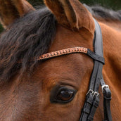 STAR Frontal STAR Purpurina Oro Rosa STAR Frontal STAR Purpurina Oro Rosa