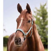 Waldhausen Cabezada Perlon Satin Silverblue Waldhausen Cabezada Perlon Satin Silverblue