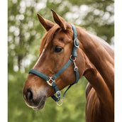 Waldhausen Cabezada Satin Pine Green Waldhausen Cabezada Satin Pine Green