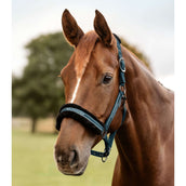 Waldhausen Cabezada Elegant Petrol Blue Waldhausen Cabezada Elegant Petrol Blue