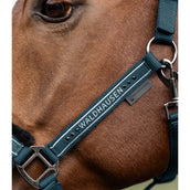 Waldhausen Cabezada Elegant Petrol Blue Waldhausen Cabezada Elegant Petrol Blue