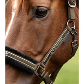 Waldhausen Cabezada Elegant Verde/Marron Waldhausen Cabezada Elegant Verde/Marron