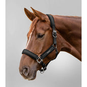 Waldhausen Cabezada Soft Touch Negro Waldhausen Cabezada Soft Touch Negro