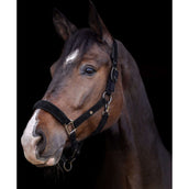 Waldhausen Cabezada St. Gallen Negro Waldhausen Cabezada St. Gallen Negro