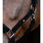 Waldhausen Cabezada St. Gallen Negro Waldhausen Cabezada St. Gallen Negro