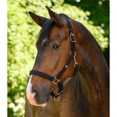 Waldhausen Cabezada Trinidad Negro Waldhausen Cabezada Trinidad Negro