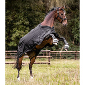 Waldhausen Alfombra de Exterior Scandic Multi-Layer 50/150g Negro Waldhausen Alfombra de Exterior Scandic Multi-Layer 50/150g Negro