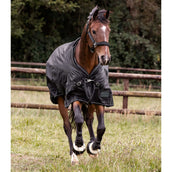 Waldhausen Alfombra de Exterior Scandic Multi-Layer 50/150g Negro Waldhausen Alfombra de Exterior Scandic Multi-Layer 50/150g Negro