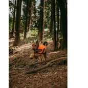 WeatherBeeta Dog Coat Parka Reflectante 300D Orange WeatherBeeta Dog Coat Parka Reflectante 300D Orange