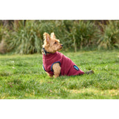 WeatherBeeta Manta para Perros ComFiTec Fleece Zip Burdeos/Azul Marino WeatherBeeta Manta para Perros ComFiTec Fleece Zip Burdeos/Azul Marino