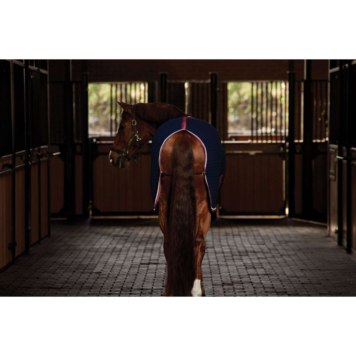 Weatherbeeta Cooler Thermocell Standard Neck Navy/Burgundy Weatherbeeta Cooler Thermocell Standard Neck Navy/Burgundy