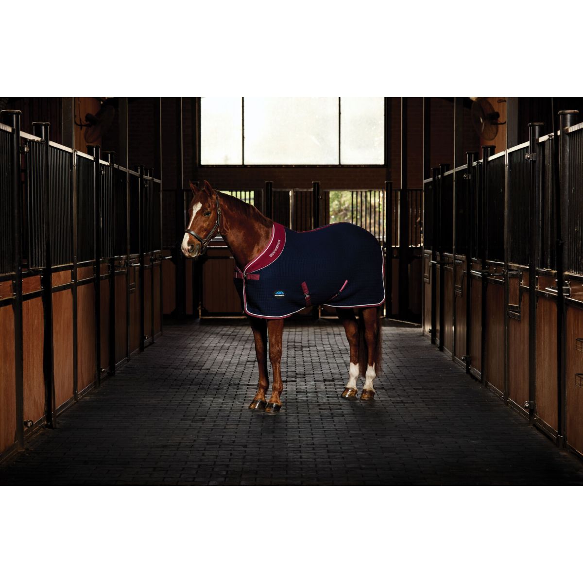 Weatherbeeta Cooler Thermocell Standard Neck Navy/Burgundy Weatherbeeta Cooler Thermocell Standard Neck Navy/Burgundy