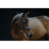 Collegiate Brida ComFiTec Vogue Anatomisch Negro Collegiate Brida ComFiTec Vogue Anatomisch Negro