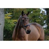 Collegiate Brida ComFiTec Vogue Anatomisch Negro Collegiate Brida ComFiTec Vogue Anatomisch Negro