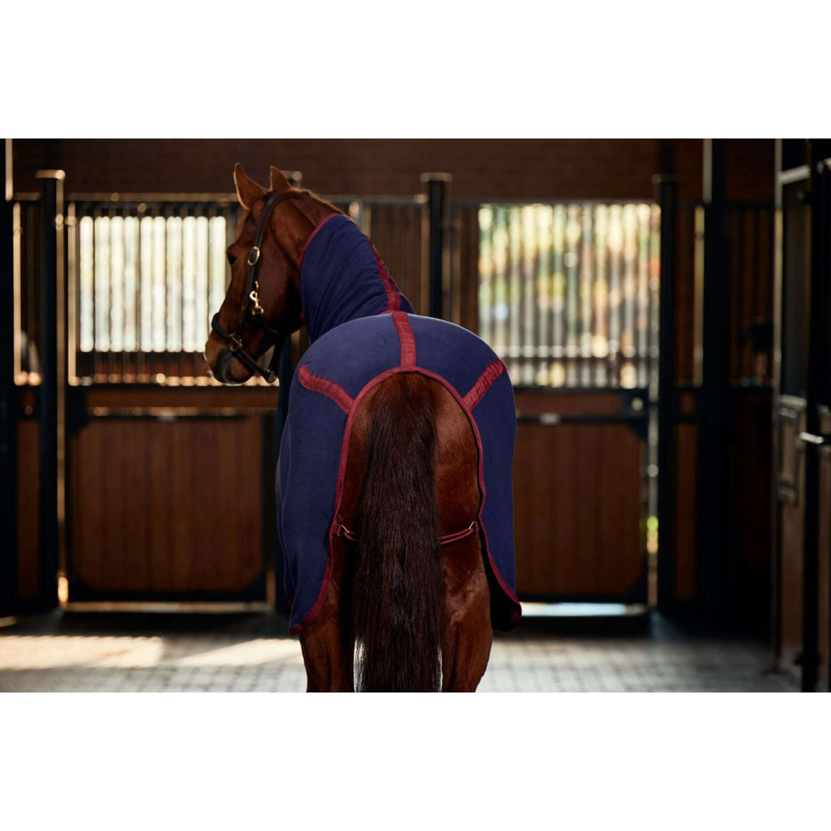 Weatherbeeta Manta de Forro Polar Anti-Static Cooler Combo Neck Navy/Burgundy Weatherbeeta Manta de Forro Polar Anti-Static Cooler Combo Neck Navy/Burgundy