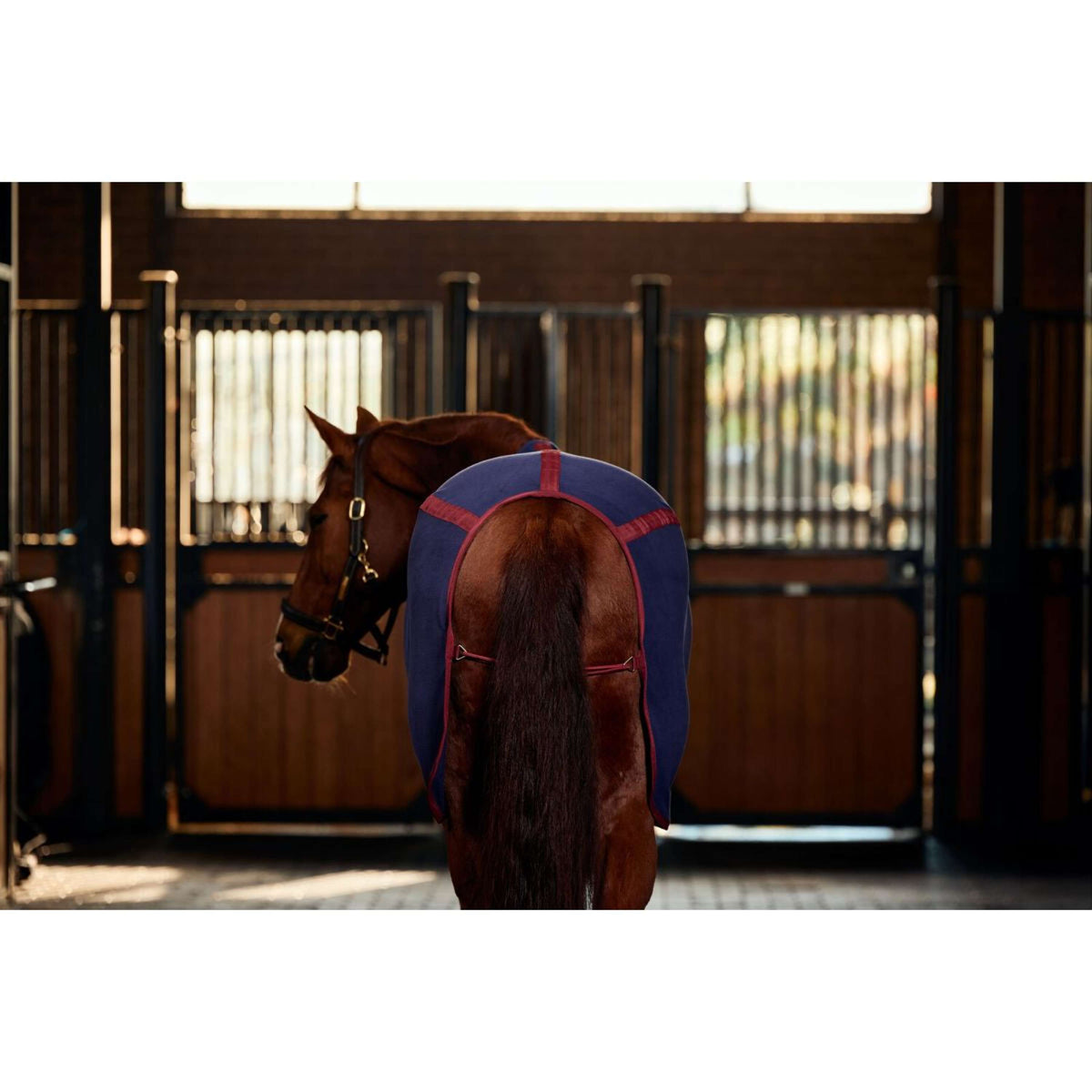 Weatherbeeta Manta de Forro Polar Anti-Static Cooler Standard Neck Navy/Burgundy Weatherbeeta Manta de Forro Polar Anti-Static Cooler Standard Neck Navy/Burgundy