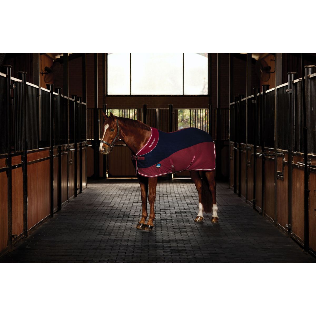 Weatherbeeta Manta de Forro Polar Thermo-Air Standard Neck Navy/Burgundy Weatherbeeta Manta de Forro Polar Thermo-Air Standard Neck Navy/Burgundy