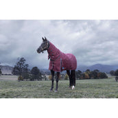 WeatherBeeta ComFiTec Essential Turnout Detach-A-Neck 220g Burdeos/Azul Marino WeatherBeeta ComFiTec Essential Turnout Detach-A-Neck 220g Burdeos/Azul Marino