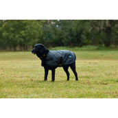 WeatherBeeta Manta para Perros ComFiTec Classic Waterproof Carbon WeatherBeeta Manta para Perros ComFiTec Classic Waterproof Carbon