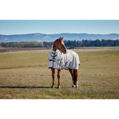 WeatherBeeta Manta Antimoscas ComFiTec Airflow Detach-A-Neck Grey/Navy/Burgundy WeatherBeeta Manta Antimoscas ComFiTec Airflow Detach-A-Neck Grey/Navy/Burgundy