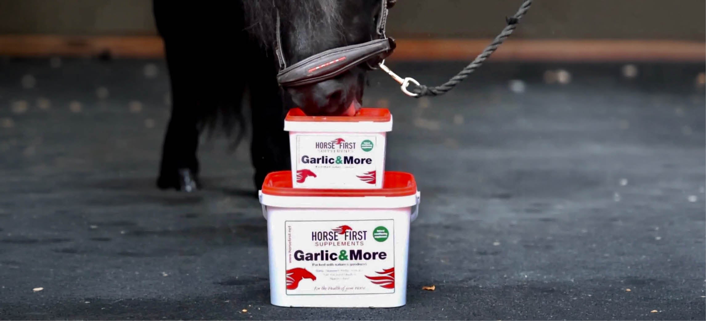 Prepara a tu caballo para el otoño: la guía de temporada de Horse First