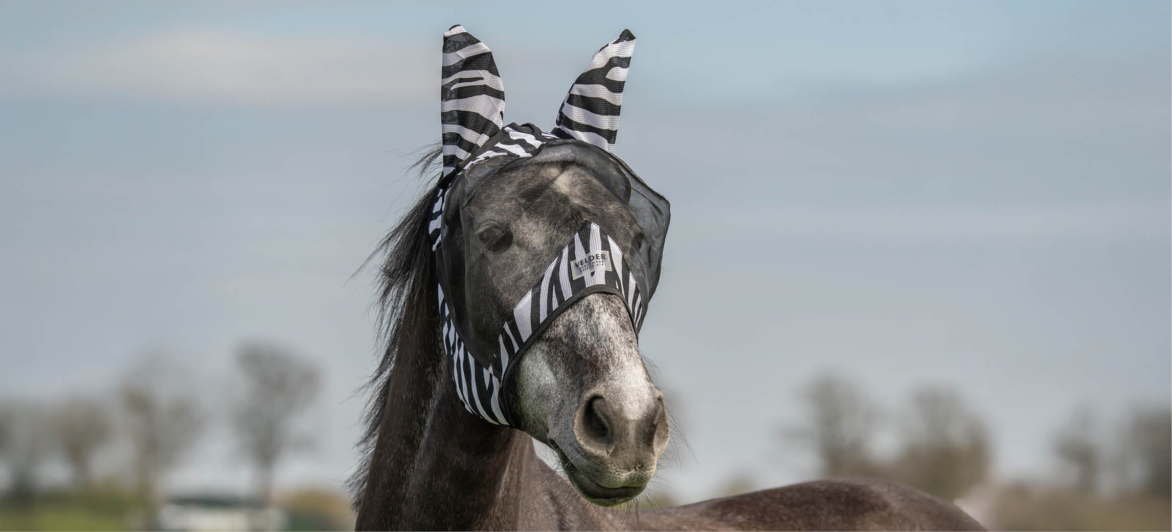Mascara antimoscas para caballos: como elegir la proteccion adecuada