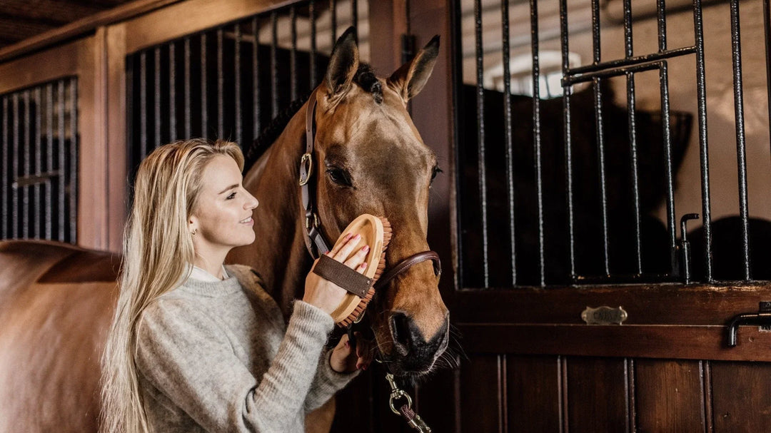 Grooming Deluxe: funcional y elegante