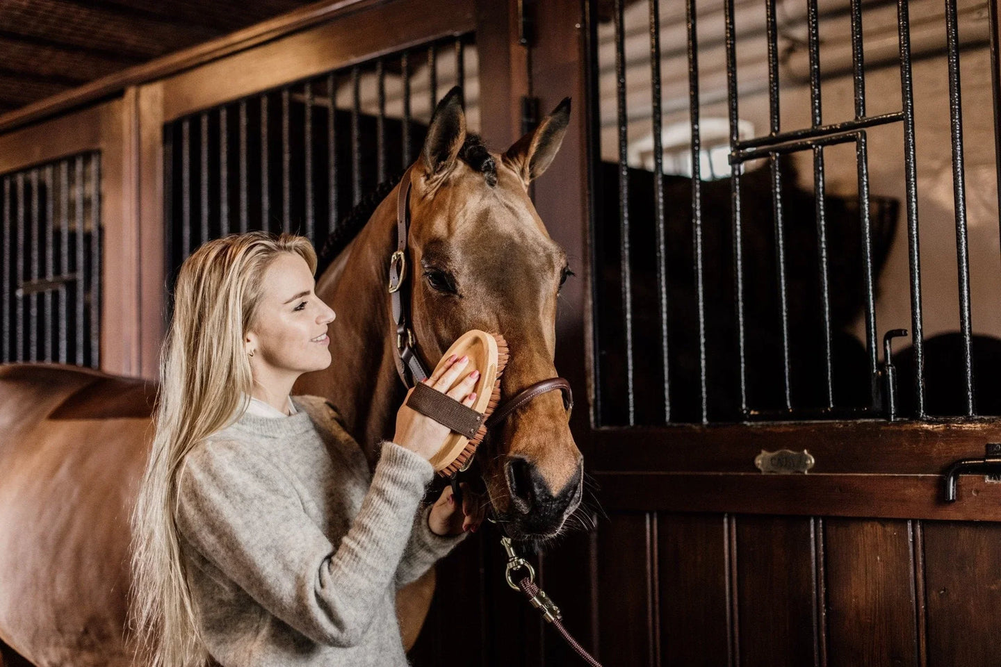 Grooming Deluxe: funcional y elegante