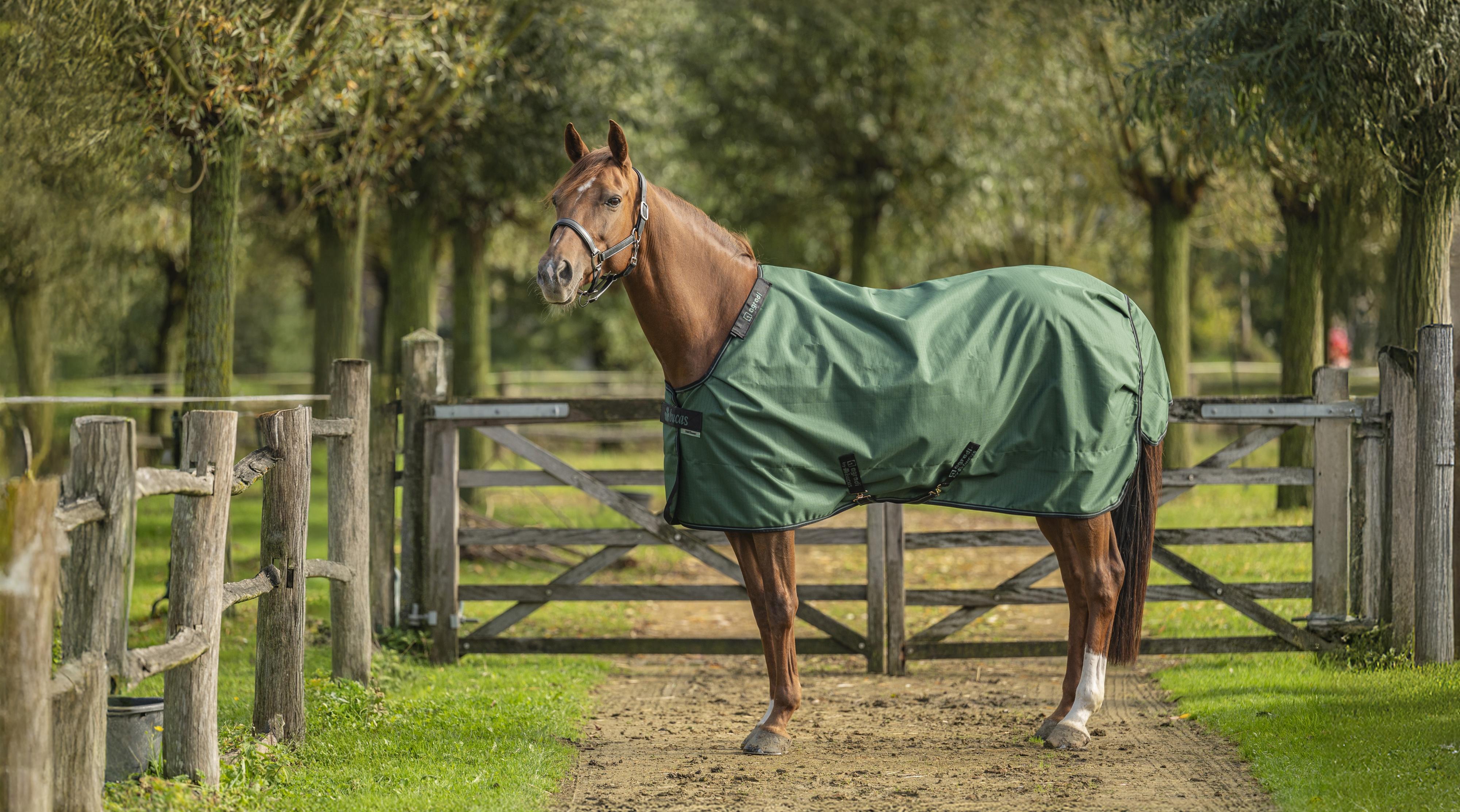 Manta Shetland Para Lluvia Waldhausen