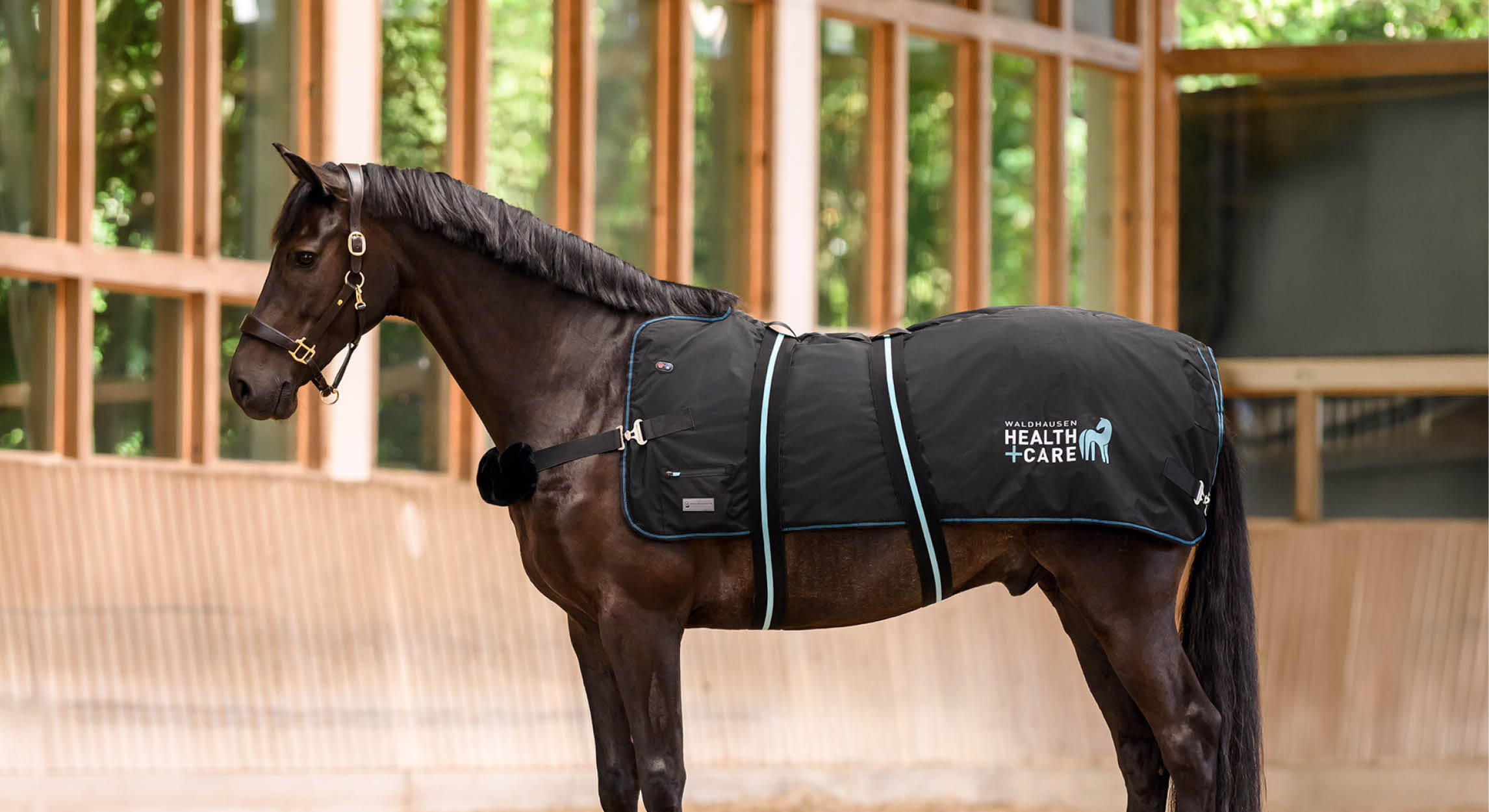 Calor y masaje para tu caballo: Waldhausen Health + Care