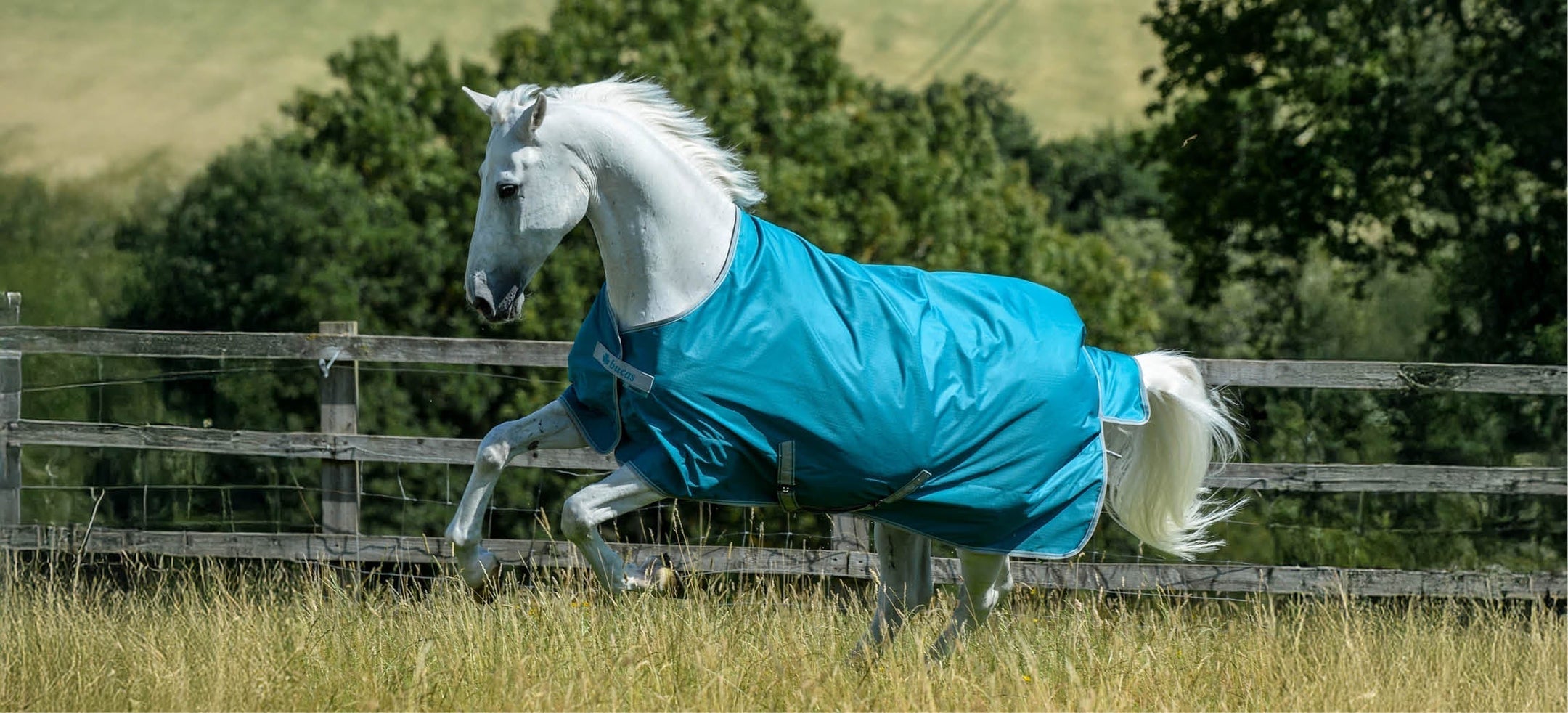 ¿Cómo mantener mejor una manta para caballo?