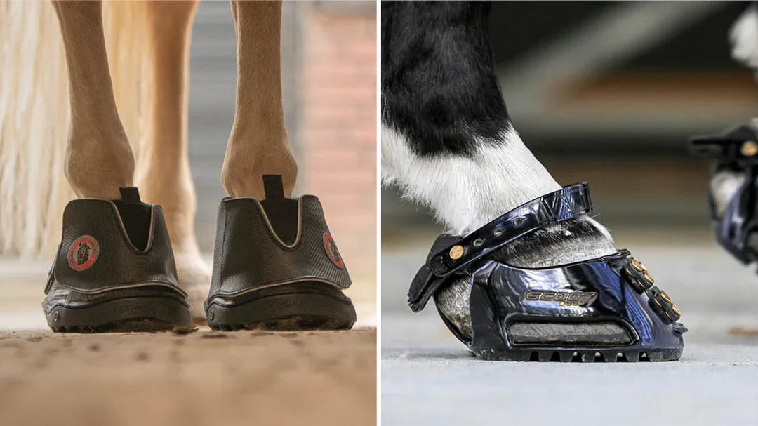 Todo lo que necesitas saber sobre las botas para cascos