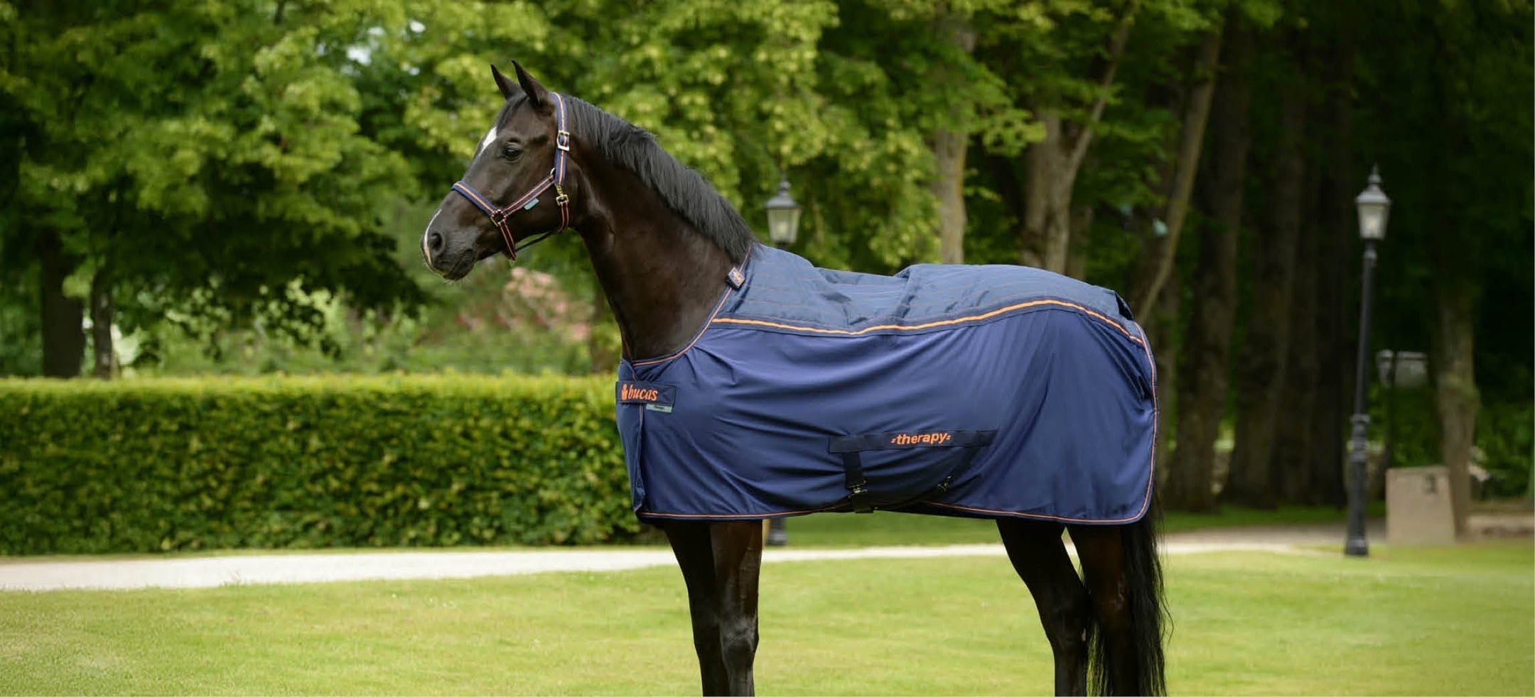 Imprescindible: la manta terapéutica