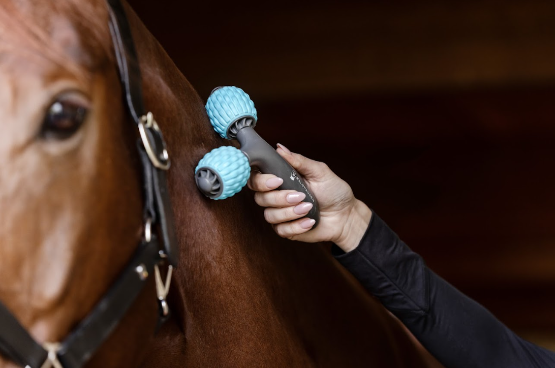 Recuperación y bienestar equino: redescubre la relajación con Waldhausen Health + Care