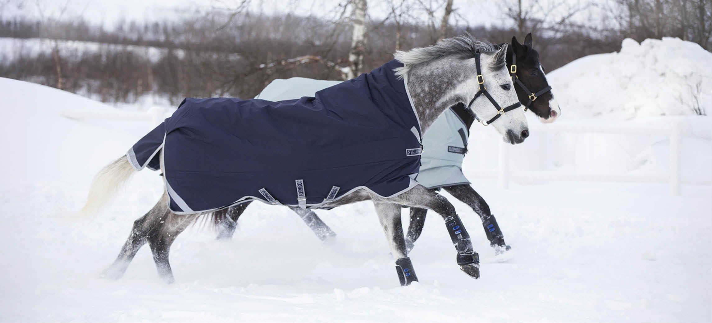 Guía de mantas de invierno: ¿qué manta de invierno necesita mi caballo?
