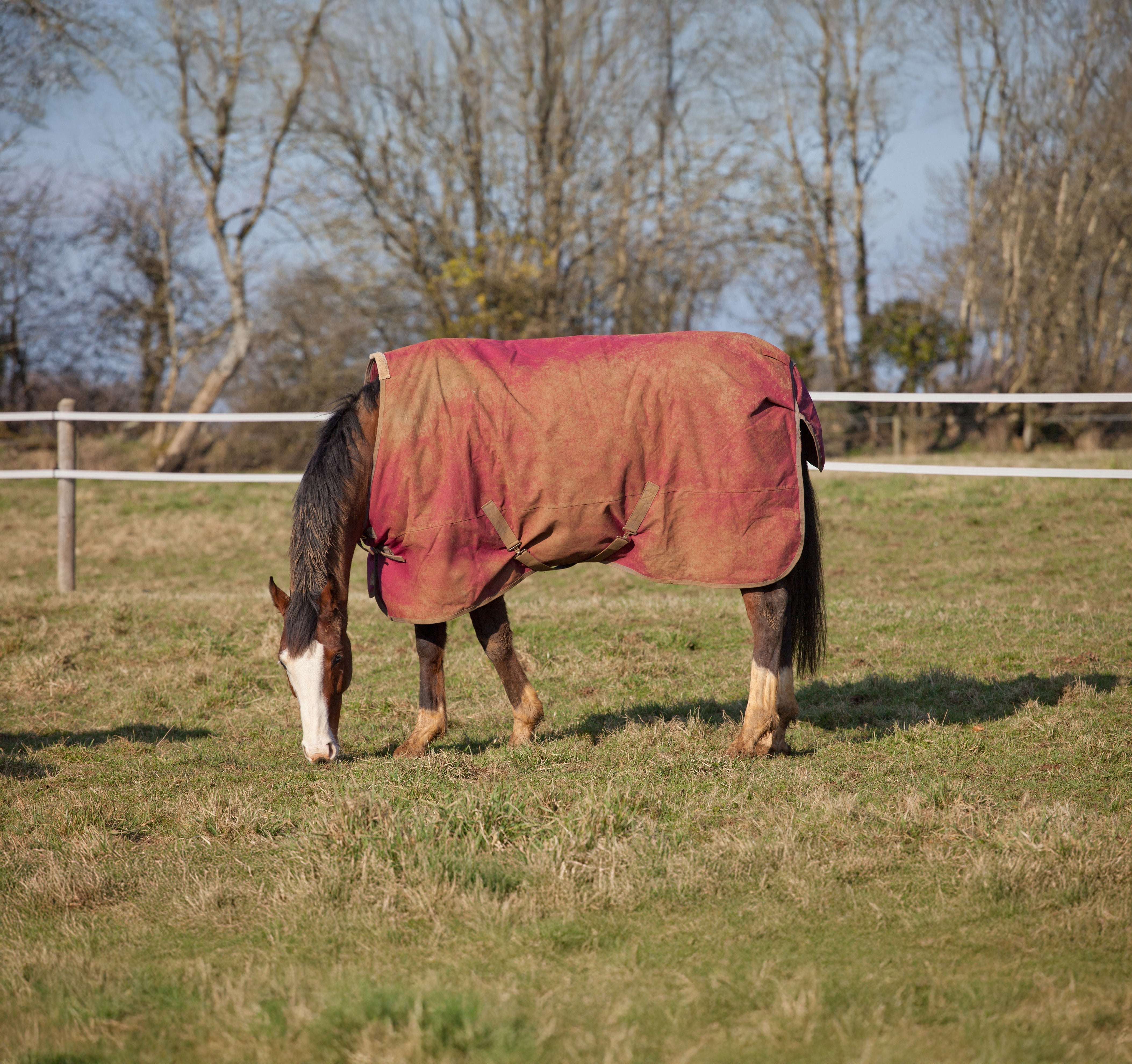¿Cómo lavar una manta para caballo?