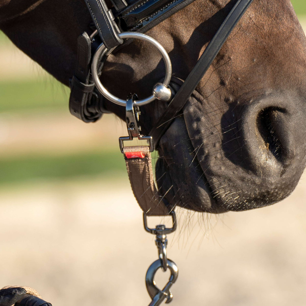 Imperial Riding Adaptador de Bocado para Longear IRH Cappuccino