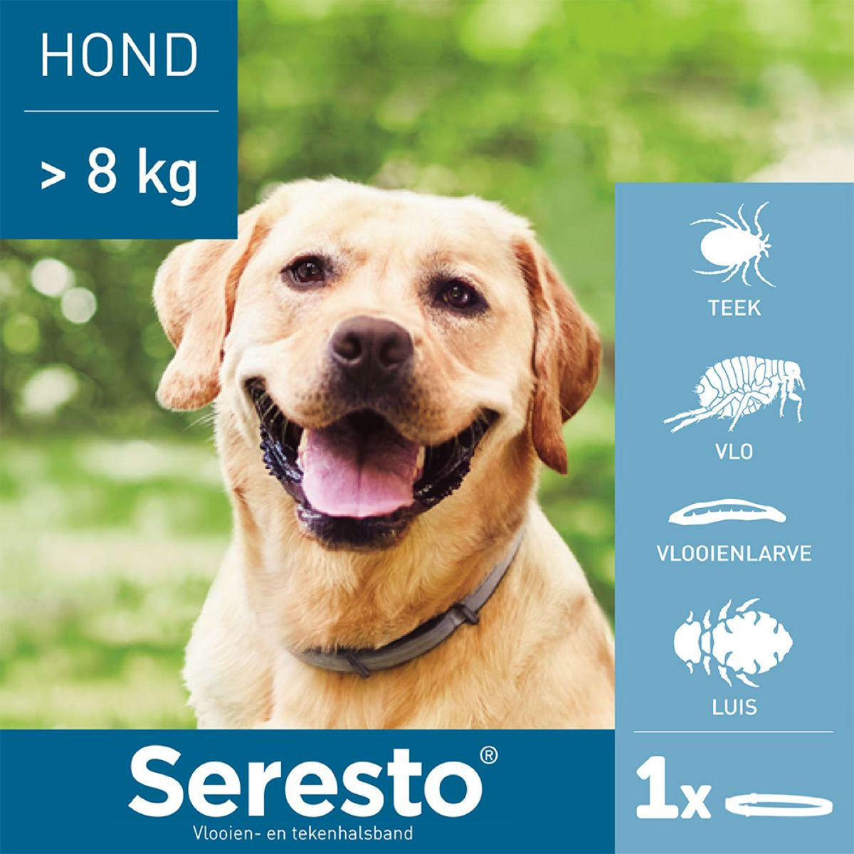 Seresto Collar Antipulgas y Garrapatas Perro Grande a partir de 8kg