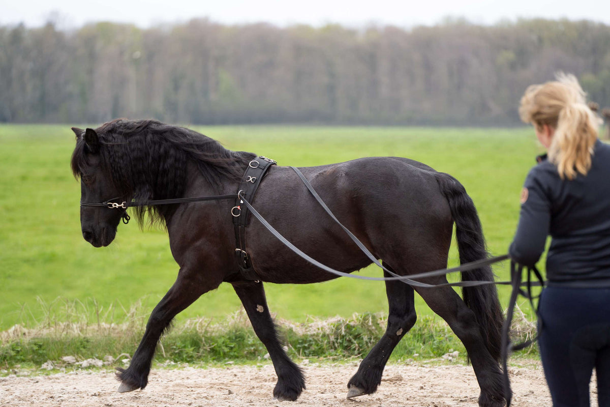 Imperial Riding Largas Colas IRHFree Ride Negro