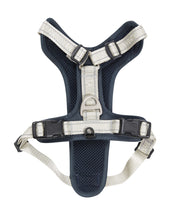 Weatherbeeta Arnés para Perro Explorer Marino