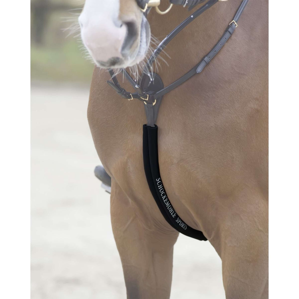 Schockemöhle Protector de coraza Negro