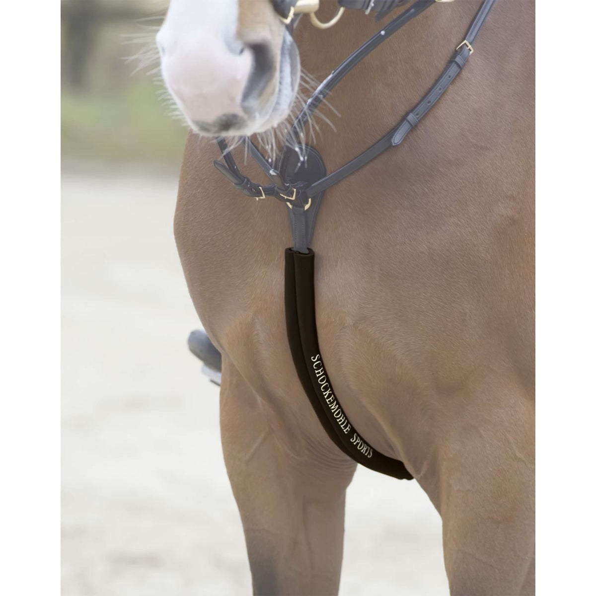 Schockemöhle Protector de coraza Espresso