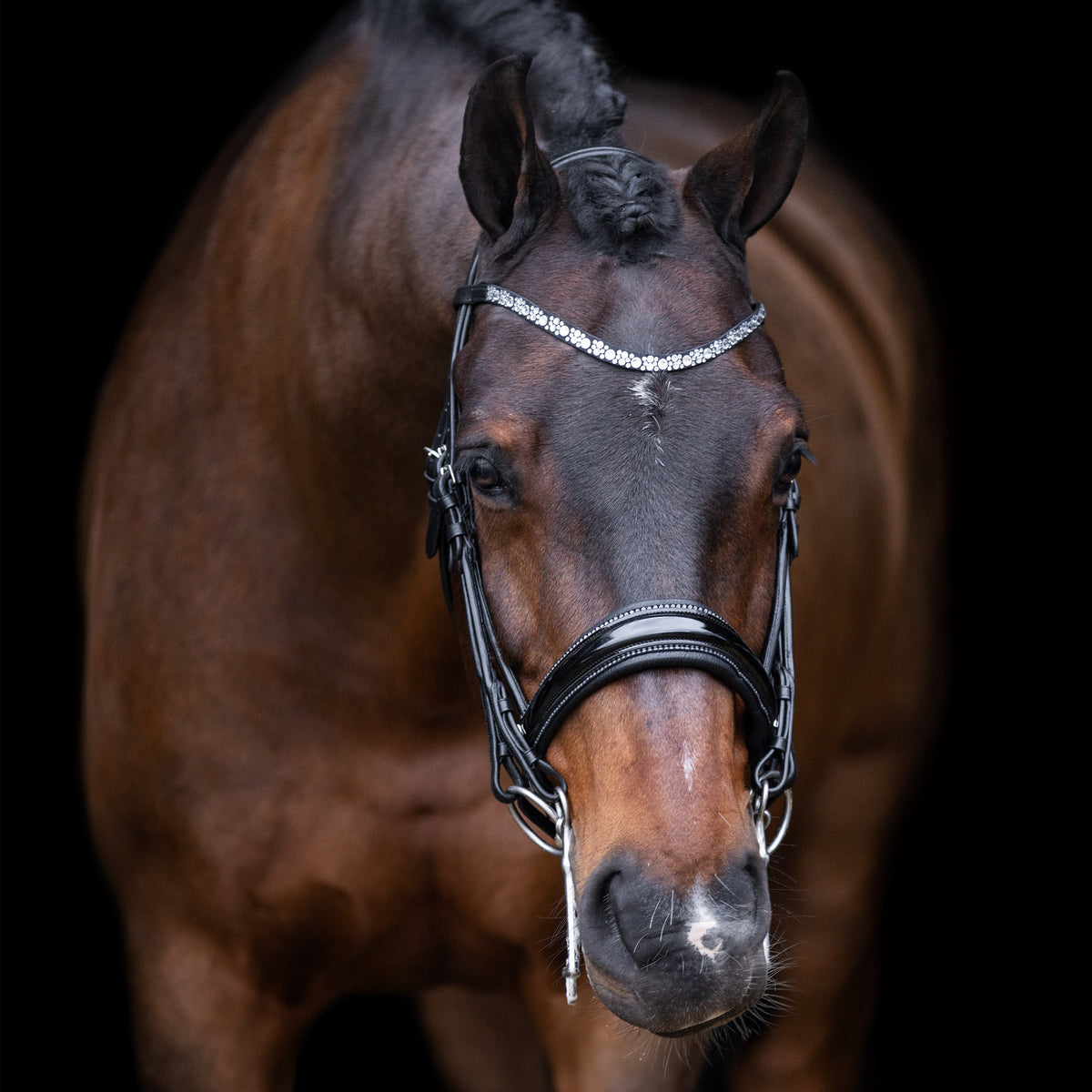 Imperial Riding Brida Doble IRHOlympia Negro/Plata