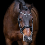 Imperial Riding Brida Doble IRHOlympia Negro/Plata