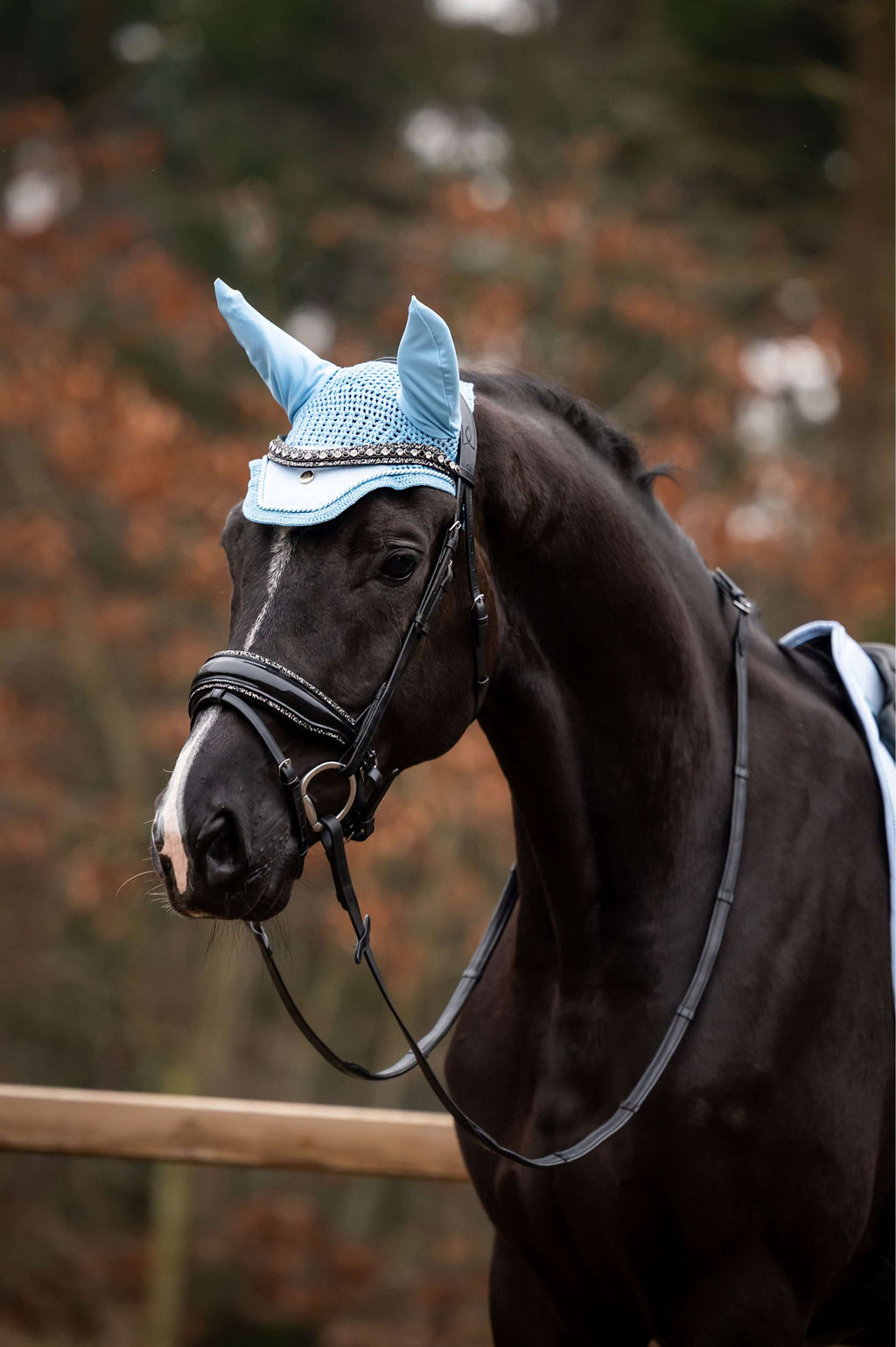 Showtime Bonete para Orejas Spring Azul claro